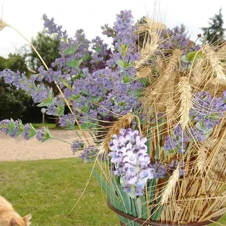 Maison Cosy Avec Jardin Dans Les Monts Du Lyonnais - Fr-1-496-174 Maringes